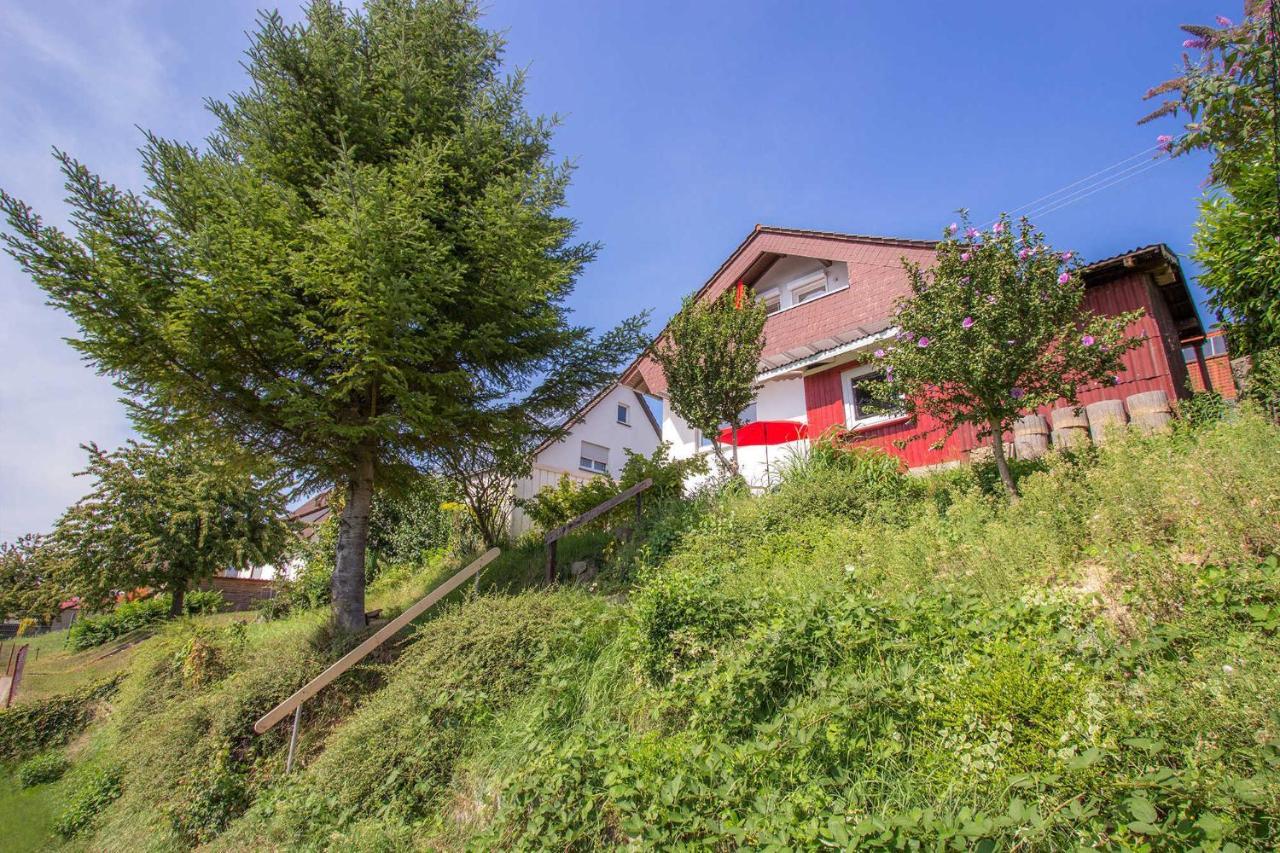 Haus Sonnenhang فريزينهايم المظهر الخارجي الصورة