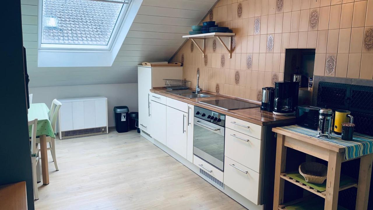 Haus Sonnenhang فريزينهايم المظهر الخارجي الصورة